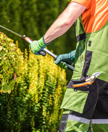 Curso Jardinería y Restauración del Paisaje