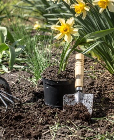 Curso Jardineria y Restauracion del Paisaje