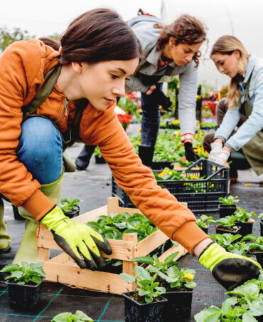 Curso Actividades Auxiliares en Viveros, Jardines y Centros de Jardinería